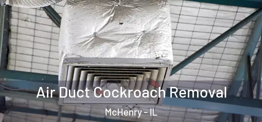Air Duct Cockroach Removal McHenry - IL