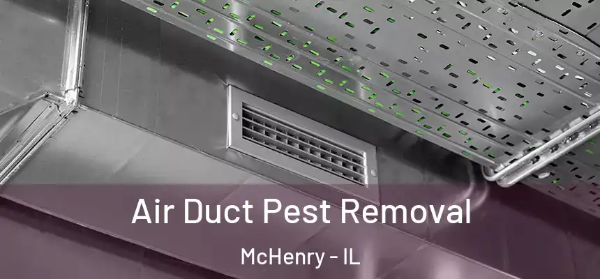Air Duct Pest Removal McHenry - IL