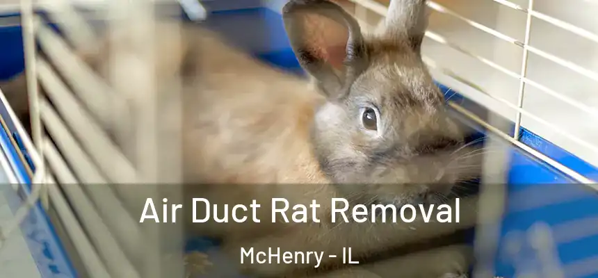 Air Duct Rat Removal McHenry - IL