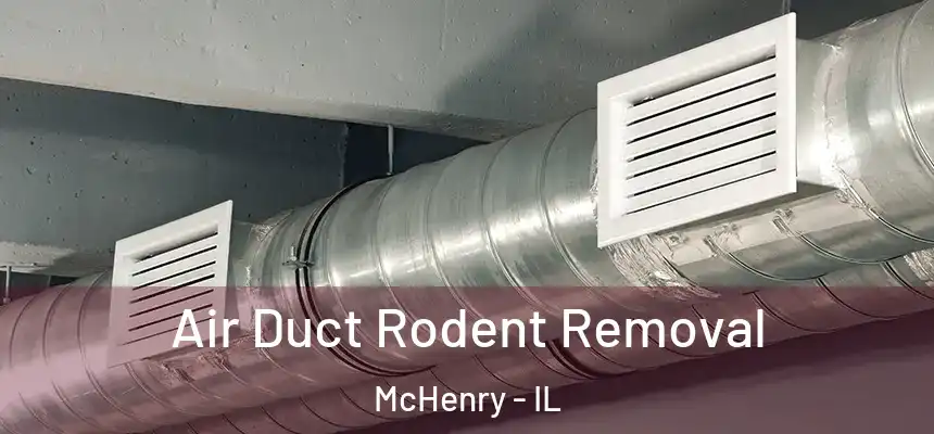Air Duct Rodent Removal McHenry - IL