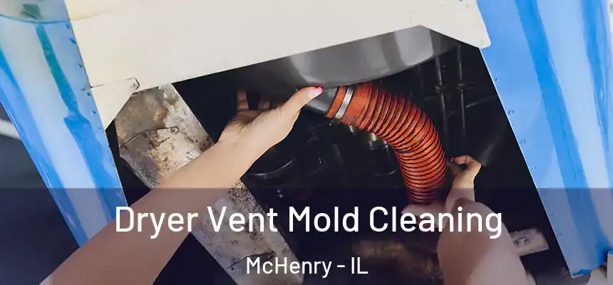  Dryer Vent Mold Cleaning McHenry - IL