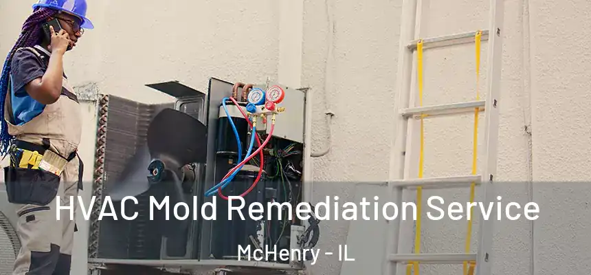  HVAC Mold Remediation Service McHenry - IL