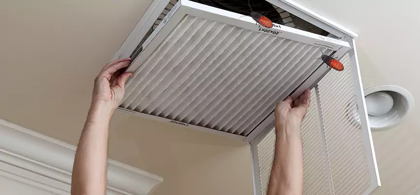 Preventive Cockroach-Proofing for Ducts in McHenry