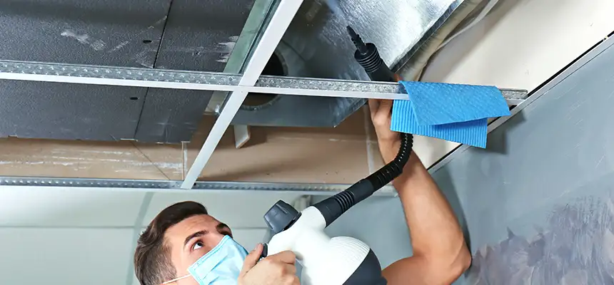 Our Air Duct Rodent Removal Services in McHenry, IL