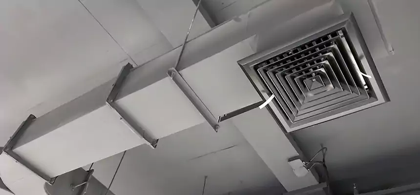 Restorative Allergy Relief Vent Cleaning – Coil, Blower & Housing Detail in McHenry