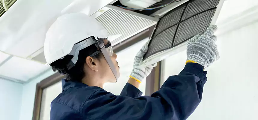 Our Mold & Mildew Removal from Air Ducts Services in McHenry, IL