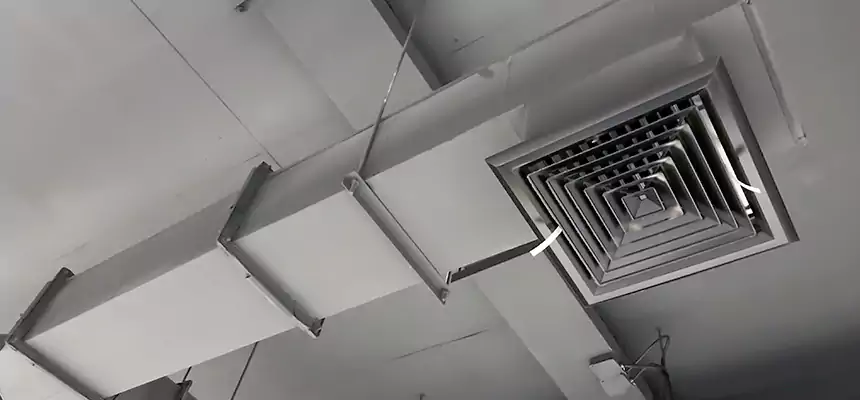 Our Rodent Droppings In Vents Services in McHenry, IL