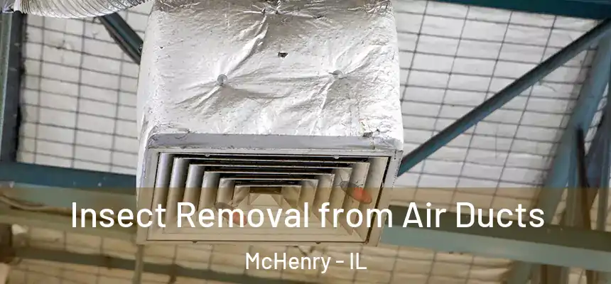  Insect Removal from Air Ducts McHenry - IL