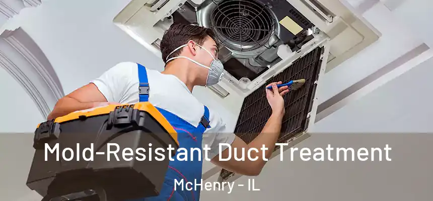 Mold-Resistant Duct Treatment McHenry - IL