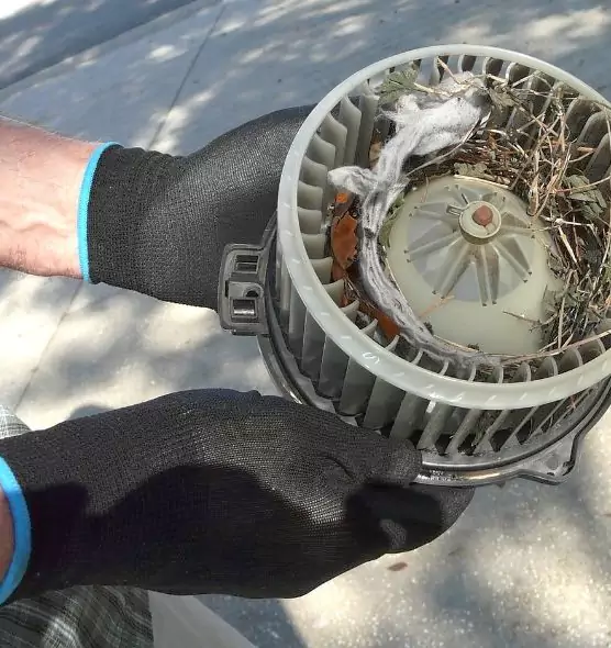 About Air Duct Mice Removal in McHenry, IL