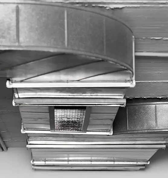 Professional Air Duct Pest Removal in McHenry, IL