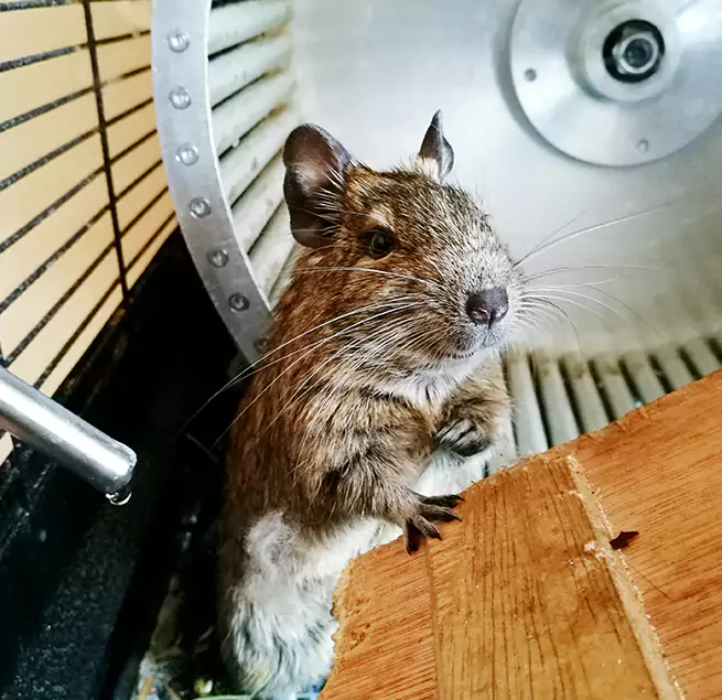 Why Homeowners & Businesses Trust Us McHenry, IL